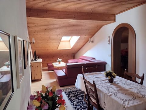 Appartement Nr. 2 - Haus Freitag Apartment in Spittal an der Drau