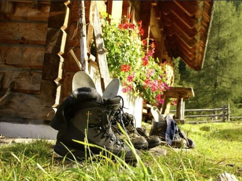 Leebhütte, Österreich Cabin in Carinthia, Austria