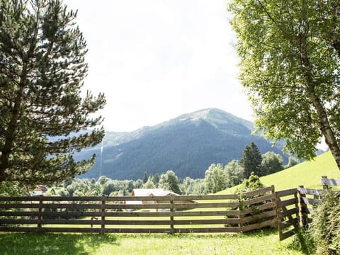 Ferienhaus Sara - Ferienhaus, Dusche Oder Bad, WC Apartment in Carinthia, Austria
