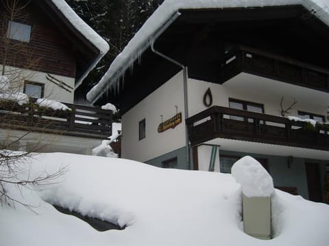 Appartement Typ 2 - Ferienhäuser Kaiserburglady Apartment in Carinthia, Austria