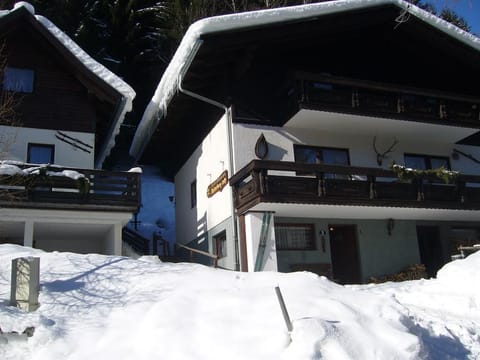 Appartement Typ 2 - Ferienhäuser Kaiserburglady Apartment in Carinthia, Austria