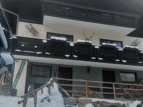 Appartement Typ 2 - Ferienhäuser Kaiserburglady Apartment in Carinthia, Austria