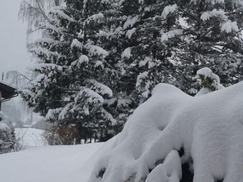 Appartement Typ 2 - Ferienhäuser Kaiserburglady Apartment in Carinthia, Austria