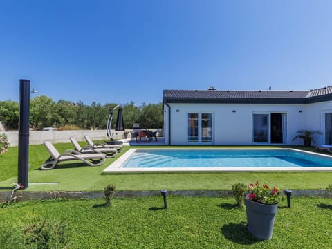 Plant, Sky, Window, Building, Swimming Pool, Shade, Tree, Grass, Leisure, Rectangle