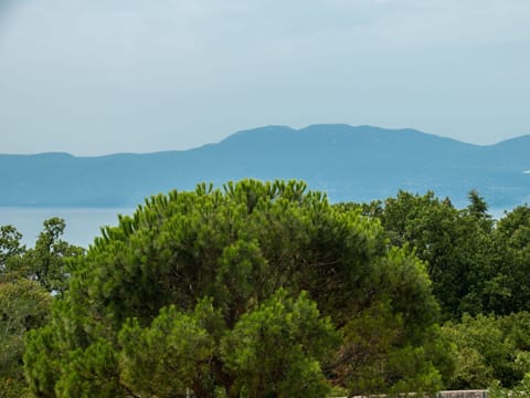 Sky, Plant Community, Mountain, Natural Landscape, Highland, Grass, Tree, Mountainous Landforms, Cumulus, Horizon