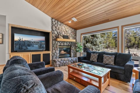 Living room - Forest Views and Cozy Fireplace
