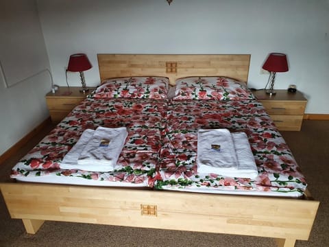 App6 2DZ + 2 Balkone-see/berg Blick - Appartement Haus Starfach Apartment in Carinthia, Austria