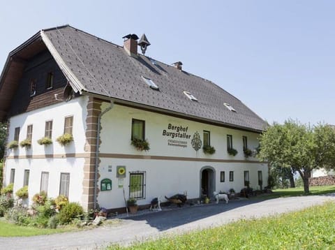 Enzian - Berghof Burgstaller Farm Stay in Carinthia, Austria