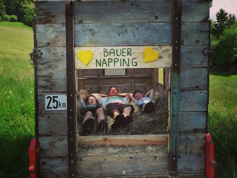 Familienzimmer Sonnenstrahl - Bauernhof Stauder Farm Stay in Carinthia, Austria