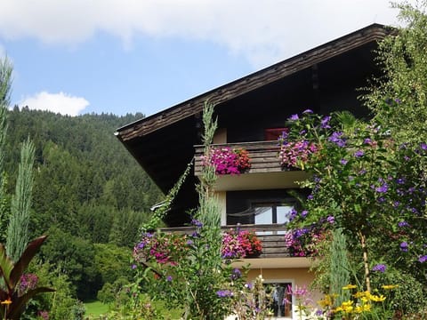 Appartement Salvia - Landhaus Bonaventura Apartment in Spittal an der Drau