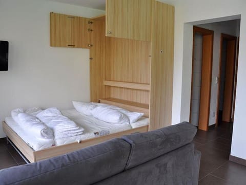 Ferienwohnung Sonne mit Badesteg Direkt am See - Laggerhof Direkt am Südufer des Millstätter Sees Bed and Breakfast in Spittal an der Drau