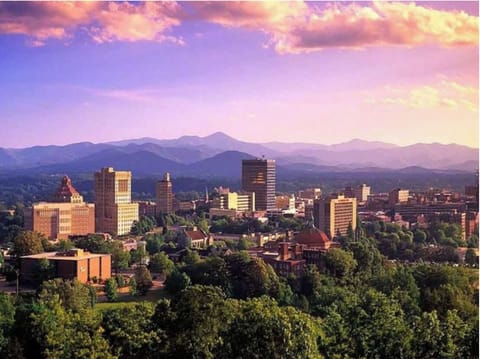 Beautiful Downtown Asheville 