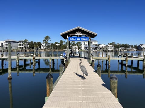 Marina