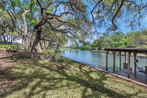 Welcome to the Treetops!