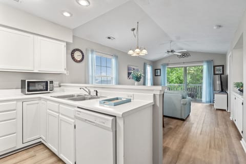 Sunny and Bright Condo (2)