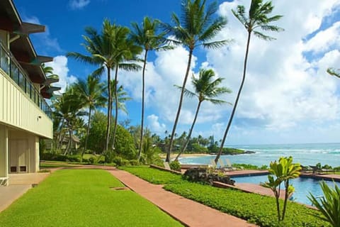 Scenic garden area offering palm trees and sea breezes.