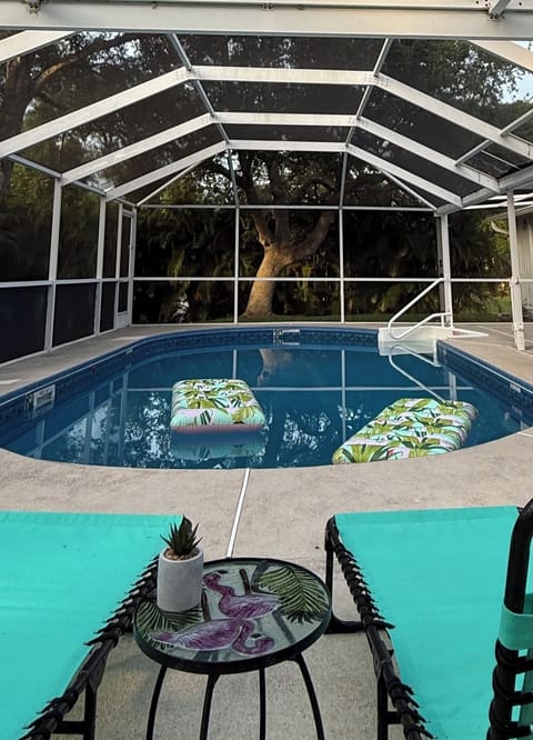 View of the pool and giant oak tree. 