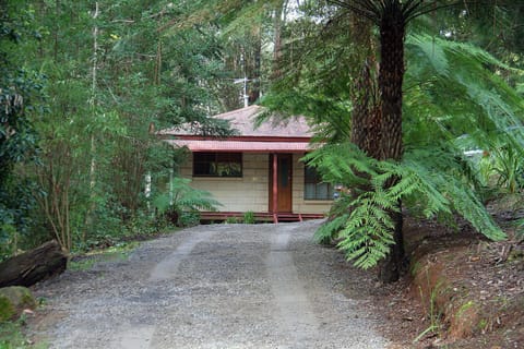 Tucked away among the trees