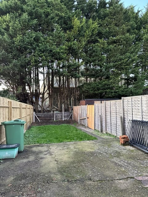 Garden and patio area