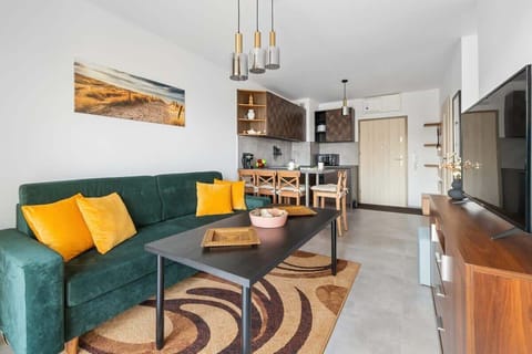 Comfortable, fold-out sofa in the living room. 