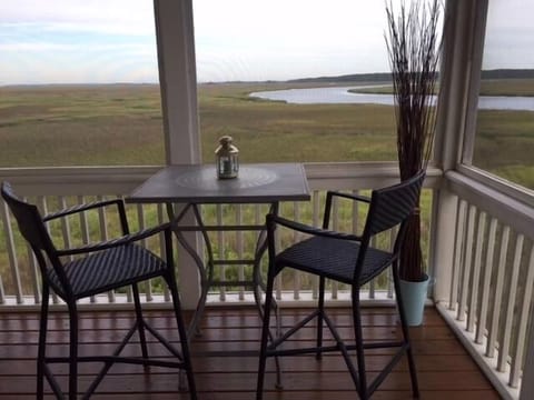Screened Porch off Primary Suite