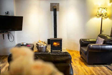 Wood burner with basket of logs. Wall mounted TV