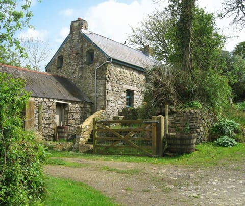 Penfeidr Newydd Exterior Image