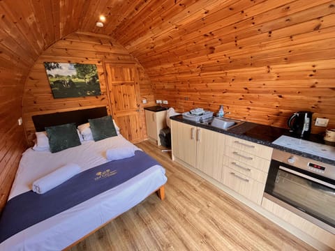 Studio style layout with double bed , kitchenette and en-suite