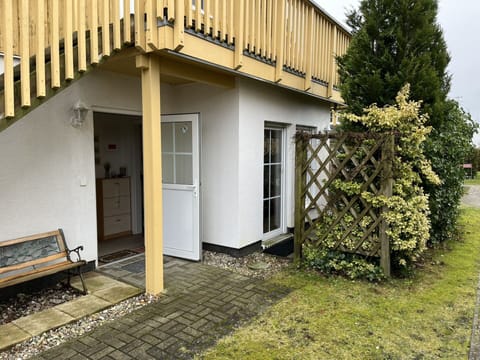 Plant, Building, Door, Land Lot, Wood, Grass, Cottage, Window, Tree, Landscape