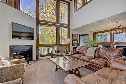 Wood Burning Fireplace and Flat Screen TV in the Living Room