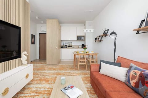 A reverse view of the living room showing the TV unit, sofa, and entrance to the kitchenette.