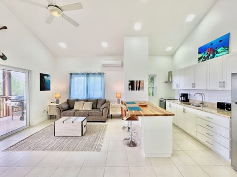 Living Room & Kitchen Area (1)