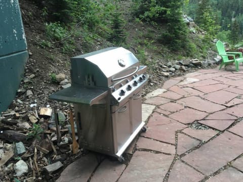 Propane Gas Grill on the Flagstone Patio