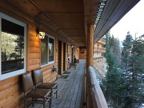 Snow Bear Porch Walkways