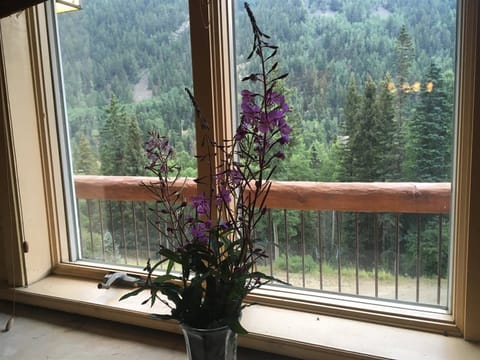 View from the Family Room Window