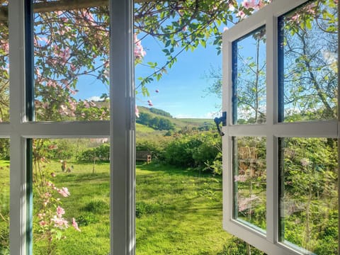 View | Willow Tit Cottage, Ffostrasol