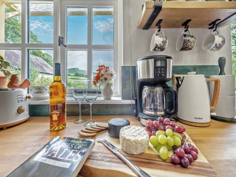 Kitchen | Willow Tit Cottage, Ffostrasol