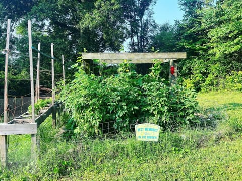 416a0e9d-abf3-494f-accd-34c40403c495