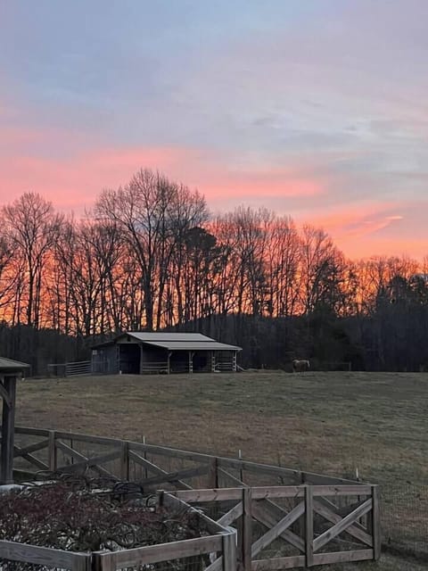 895117f3-43a9-40e9-9931-210d58cbe5b9