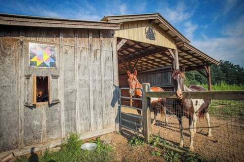 2004a987-3924-4f7a-8fed-0f44c1dc89be