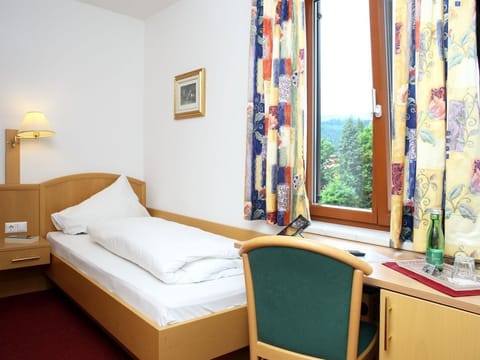 Zimmer 11, Einbett, Du/wc, - Villa Margarethe Bed and Breakfast in Spittal an der Drau