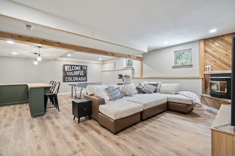 Rec Room with Ping Pong and Wet bar