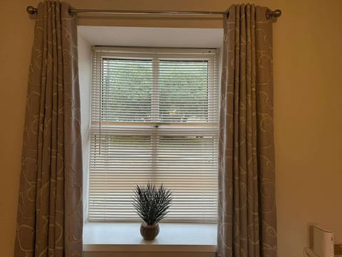 Daylight through cotton blinds.