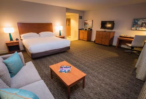 Unit with 1 King size bed.