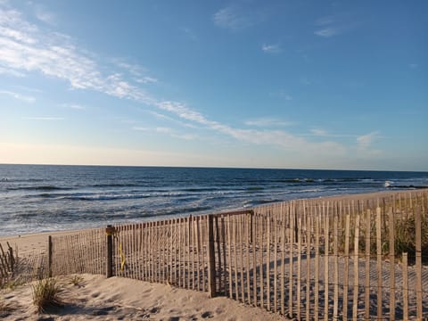 The beach, right up the block