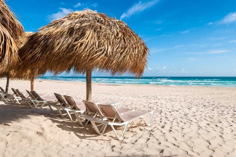 Unwind under palapas as waves lull you into calm.