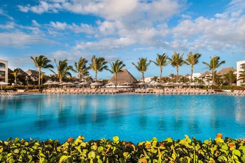 Float in crystal-blue water with palm-lined serenity around you.