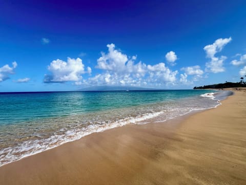 our beach, never crowded and gorgeous!!! 