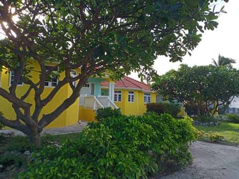 Front Garden View