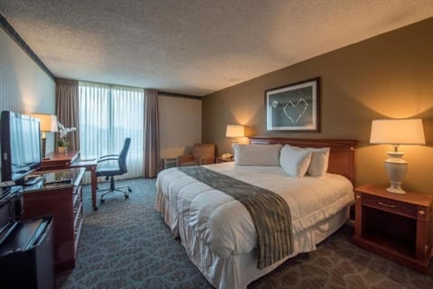 Sleeping Area